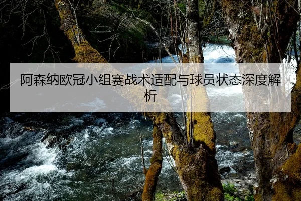 阿森纳欧冠小组赛战术适配与球员状态深度解析（Yamei）
